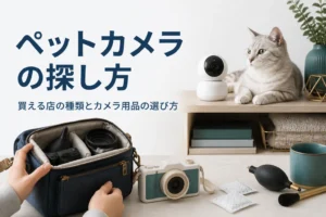 室内に置いたペットカメラとカメラ用品が並んでいる様子
